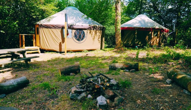 Yurtcamp Devon