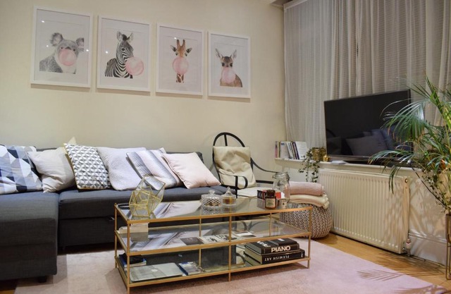 Cosy 1 Bedroom Flat in Belsize Park