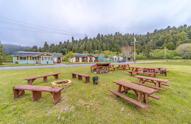 Elk Meadow 17 Gold Rush