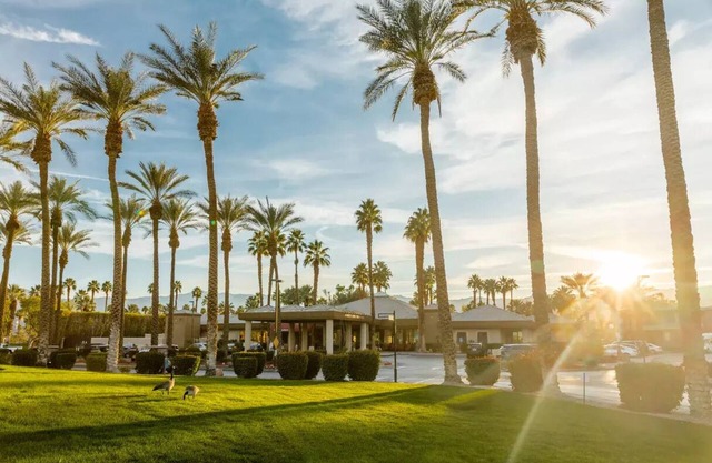Marriott Desert Springs Villas II - Studio