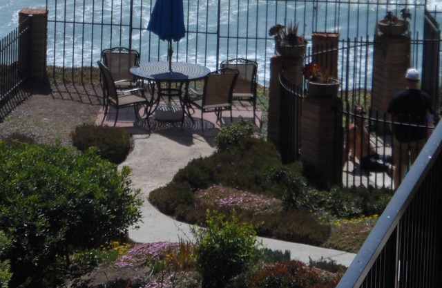 Ocean View frm Living Room & porches -last min special