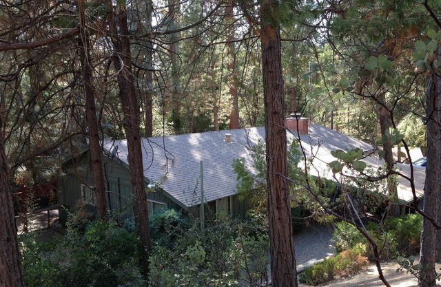 Trout Creek Lodge