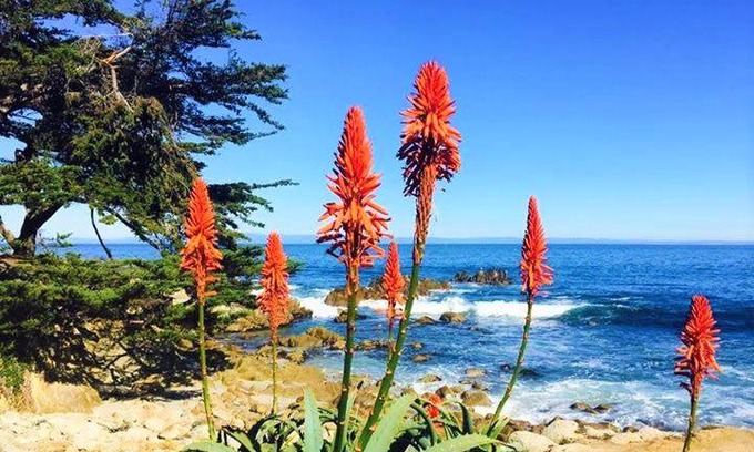 Carmel Point House | 279 m² House ∙ 3 bedrooms ∙ 6 guests