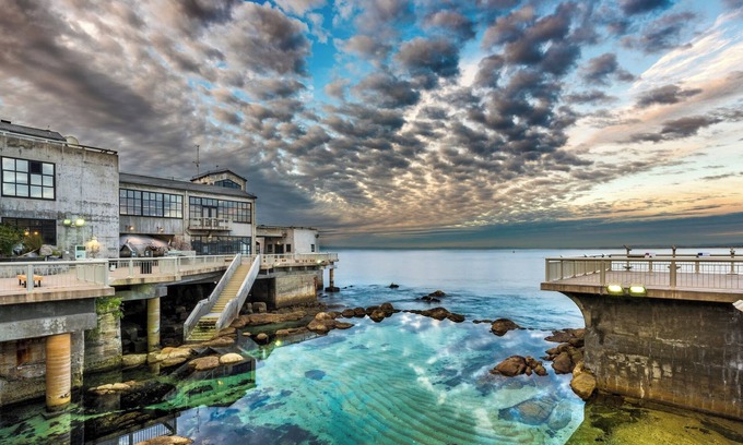 Pacific Grove House | 3554 Otter's Rest ~ Oceanview, Steps 2 the Sea, Available for Extended Stays!