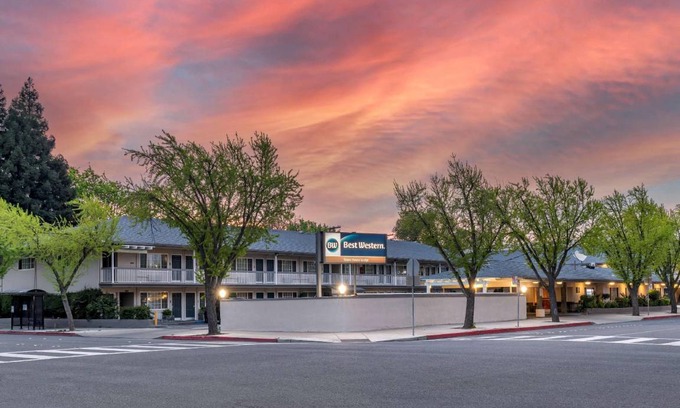 Modesto Hotel | 46 m² Hotel ∙ 127 guests
