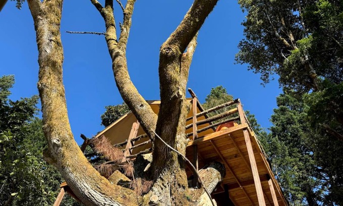 Redwood City Other | Camping ∙ 1 bedroom ∙ 4 guests