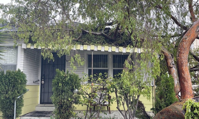 Sawtelle Bed & Breakfast | Centrally located Cozy Santa Monica haven with backyard and parking!
