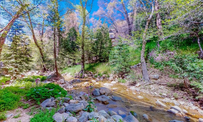 Crestline House | Dog-friendly water-view home near Lake Gregory with game room, fireplace, grill