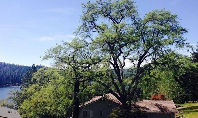 Groveland House | "Escape By The Lake" - Gated Resort With Lake Activities Near Yosemite