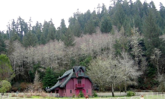 Berry Glenn House | House ∙ 1 bedroom ∙ 5 guests