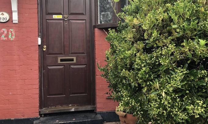 Tottenham Green House | House 220