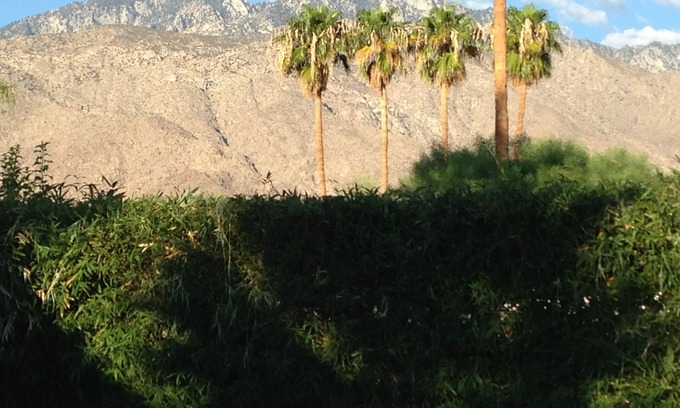Palm Springs House | Lima Modern-Movie Colony Light Filled Mid Century Modern