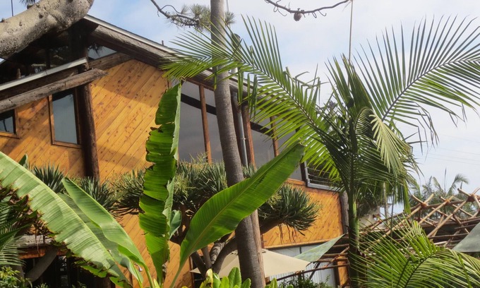 Del Mar House | Relax near the Bluff w/WhiteWater Views, Steps to Beach, Watch surfers ride