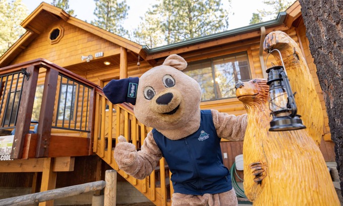 Fox Farm Cabin | Retreat To Fox Farm Log Cabin by Big Bear Vacations