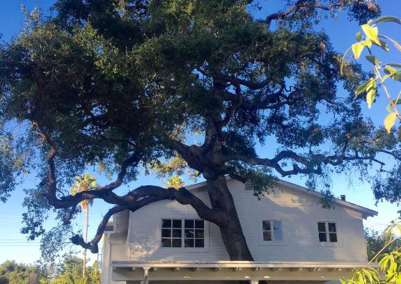 North Central Bed & Breakfast | Rose Bowl House