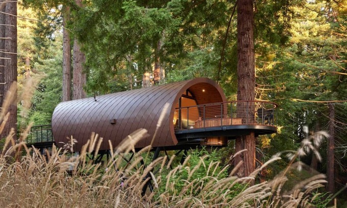 Occidental Cabin | .: The Spectacular Spyglass Treehouse :.