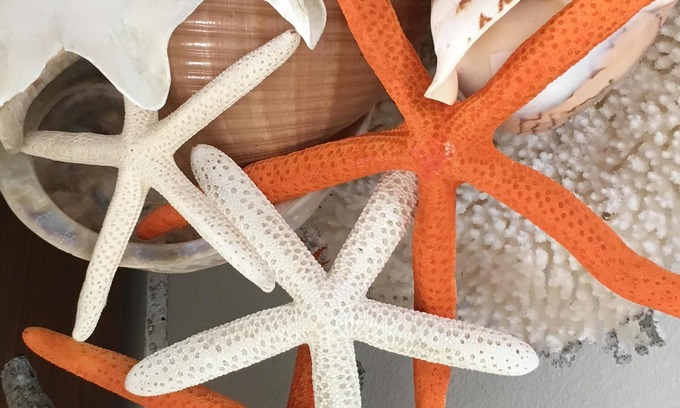 Old Towne Cottage | The Starfish Cottage" Steps to the Ocean. ๐๐๏ธ. ๐SUMMER FUN ๐RELAX & ENJOY ๐