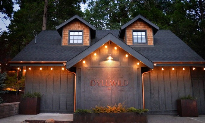 Idyllwild Cabin | Ursus by Freewyld | Cabin + Hot Tub Close to Town
