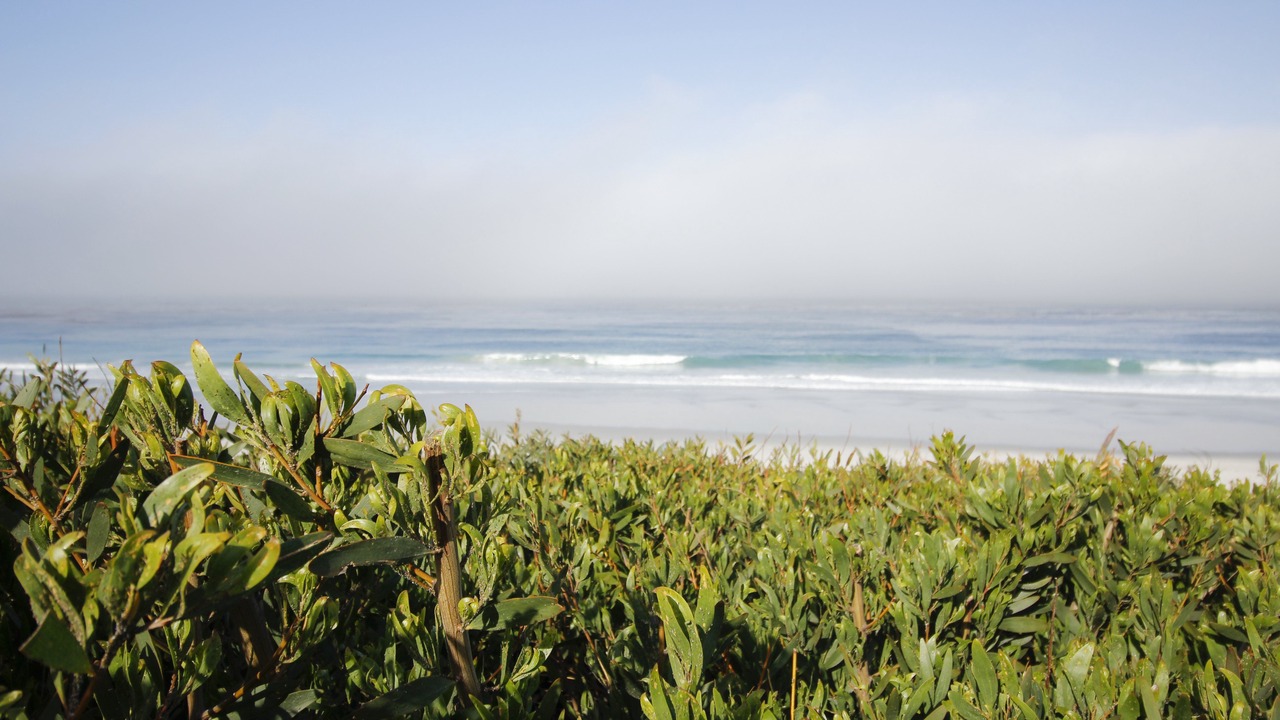 Photo of Outdoor in Northeast Carmel