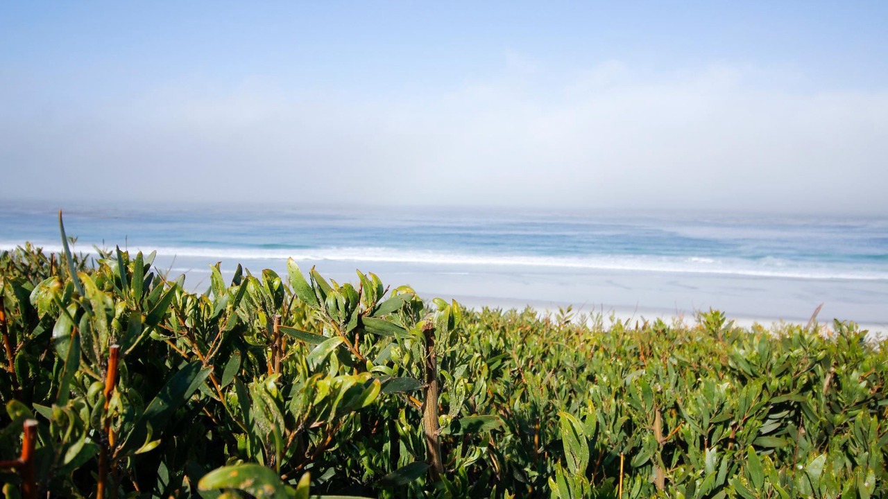 Photo of Outdoor in Northeast Carmel