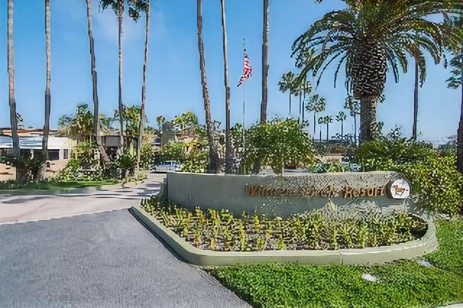 Photo of Others in Solana Beach