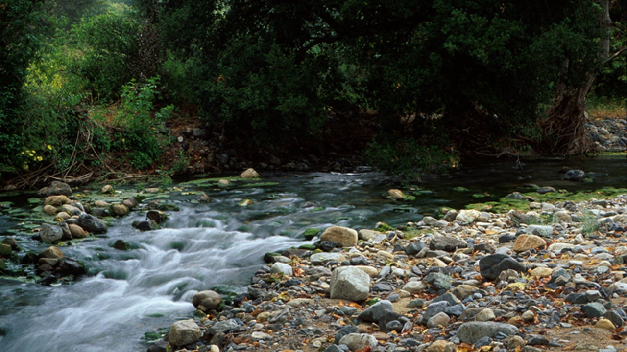 Photo of Outdoor in Lake Forest