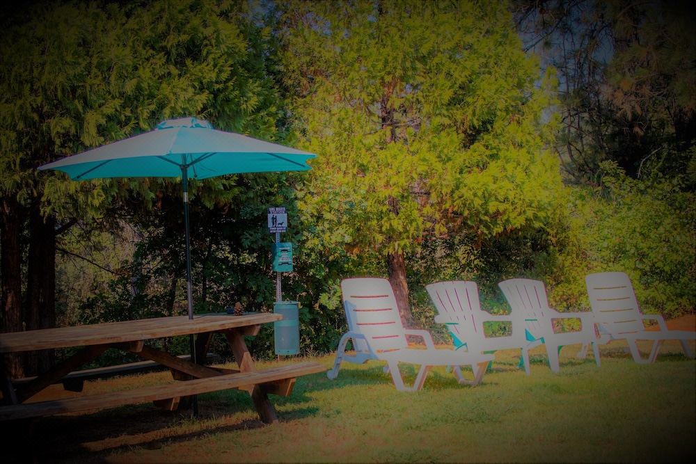 Photo of Outdoor in Brownsville