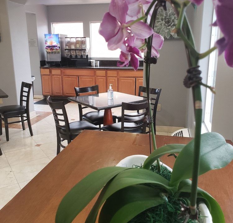 Photo of Livingroom in Burbank