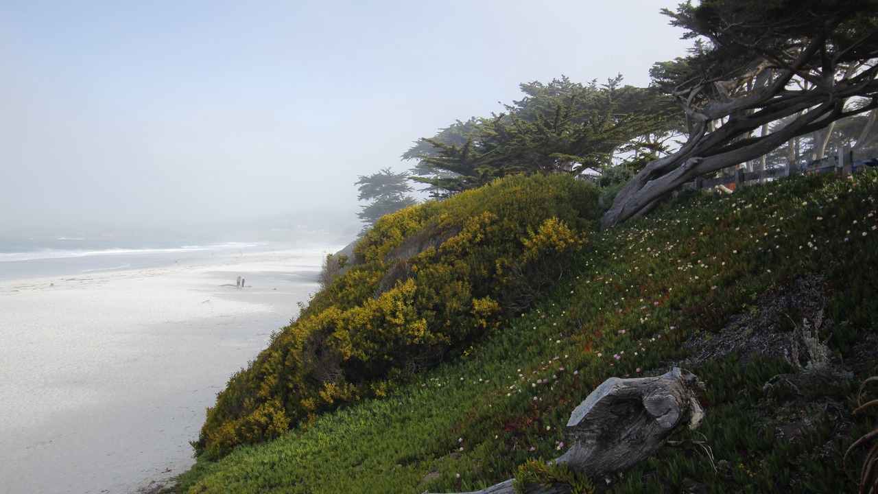Photo of Outdoor in Northeast Carmel