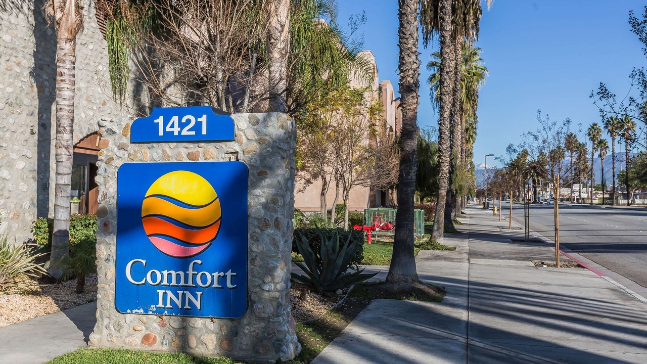 Photo of Buildings in Westmont