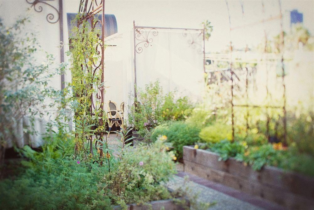 Photo of Others in Norma Triangle