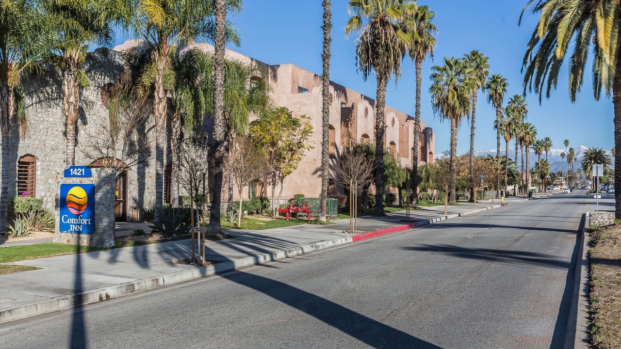 Photo of Buildings in Westmont