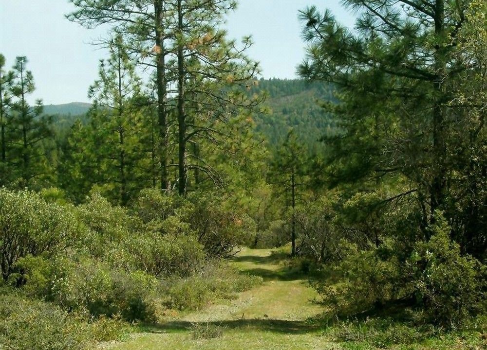 Photo of Outdoor in Brownsville