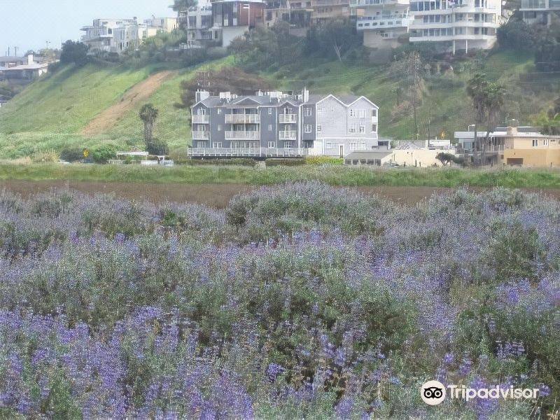 Photo of Others in Playa Del Rey