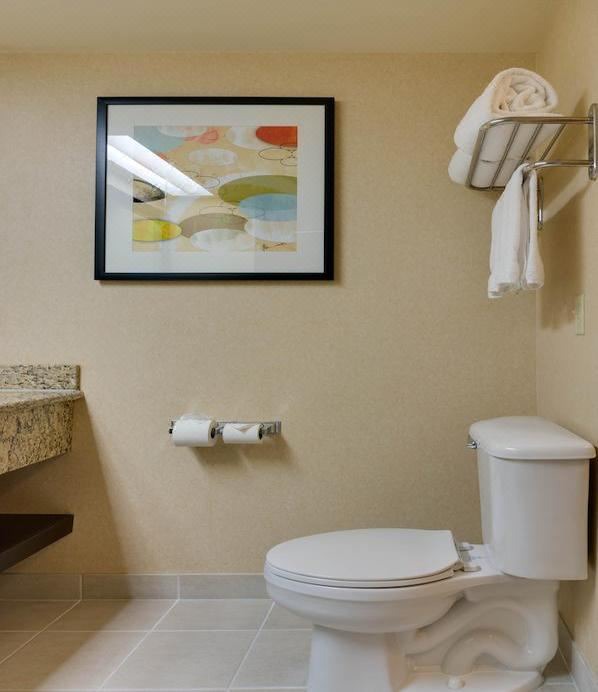 Photo of Bathroom in Anaheim Resort