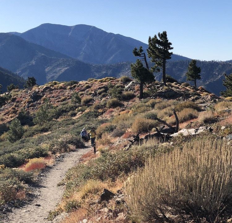 Photo of Outdoor in Wrightwood