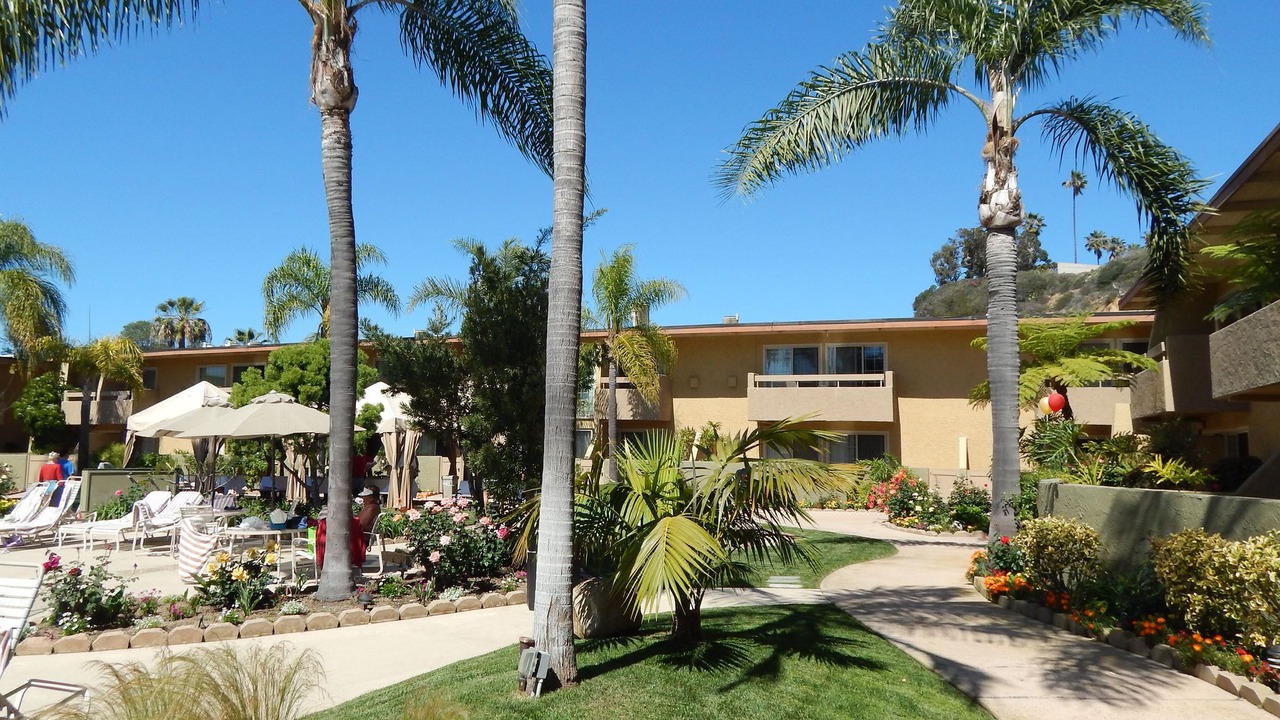 Photo of Others in Solana Beach