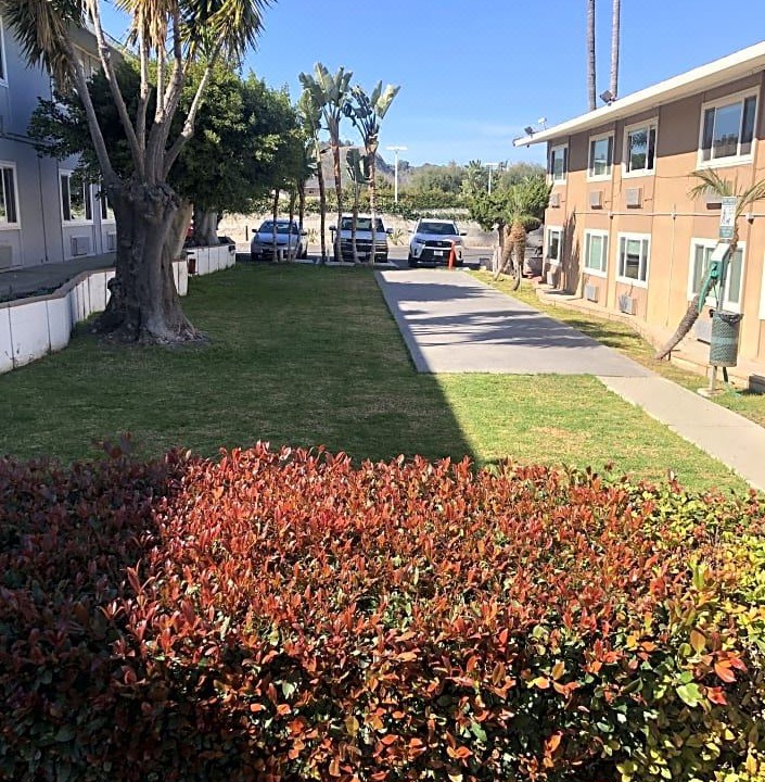 Photo of Buildings in Torrance