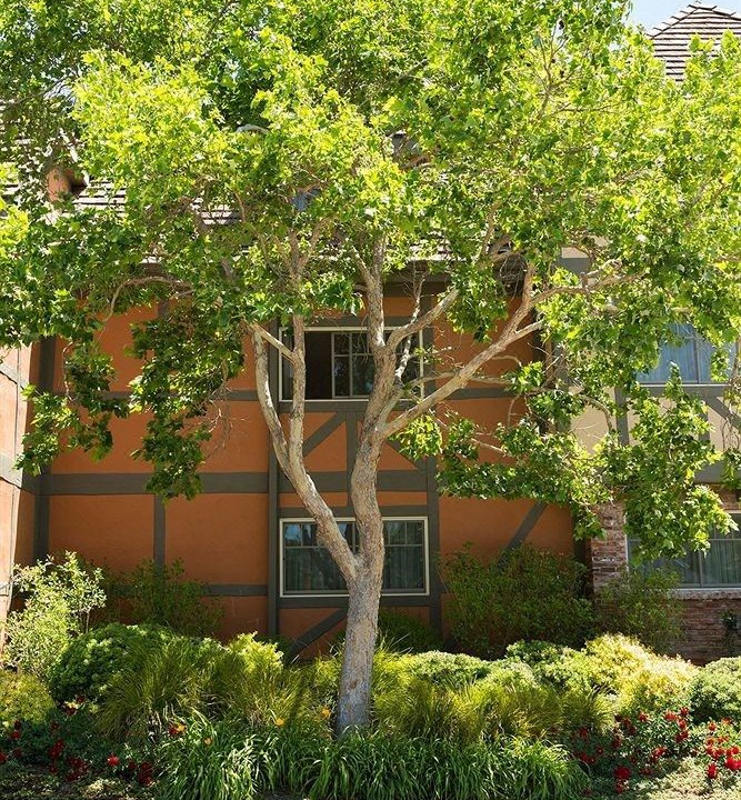 Photo of Others in Solvang