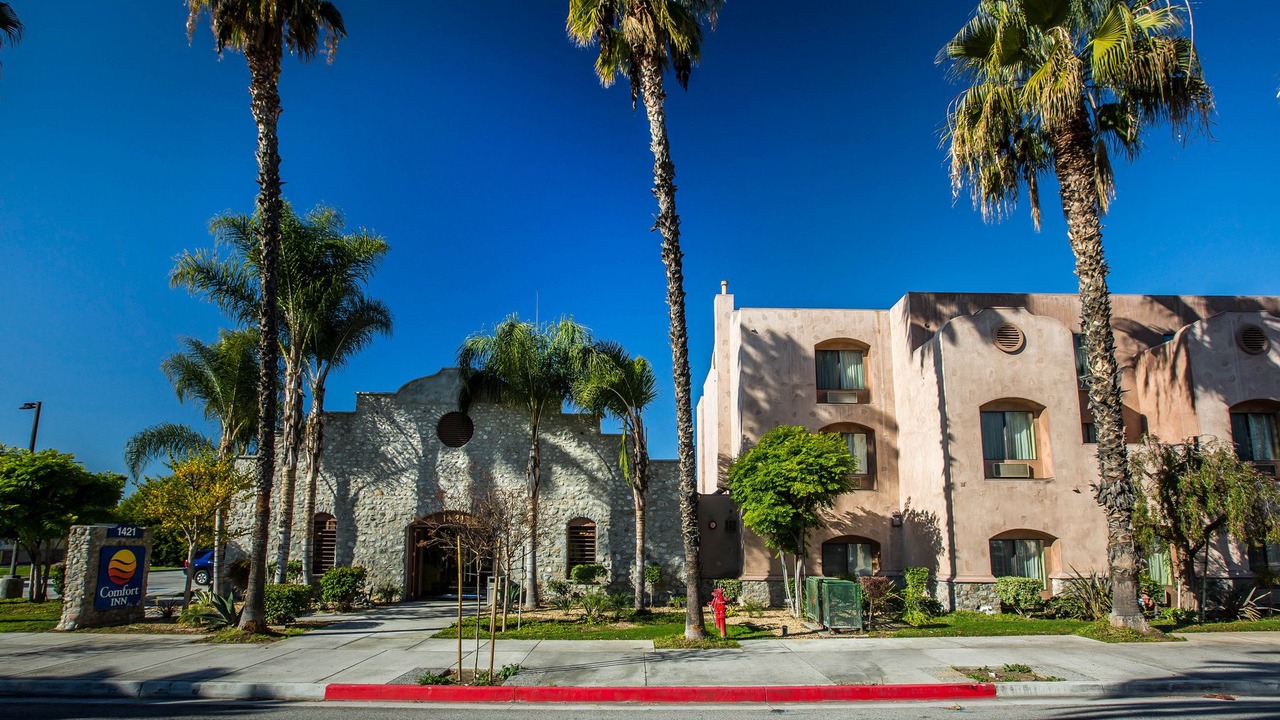 Photo of Buildings in Westmont