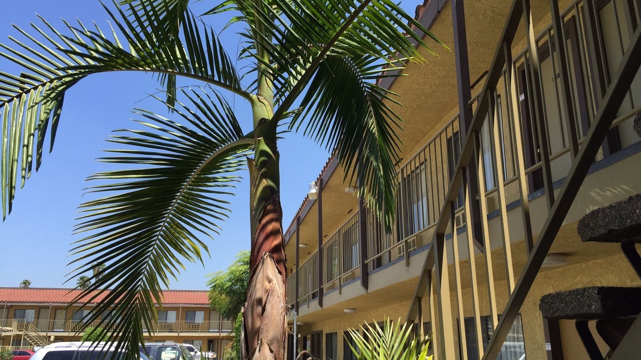 Photo of Buildings in Fullerton