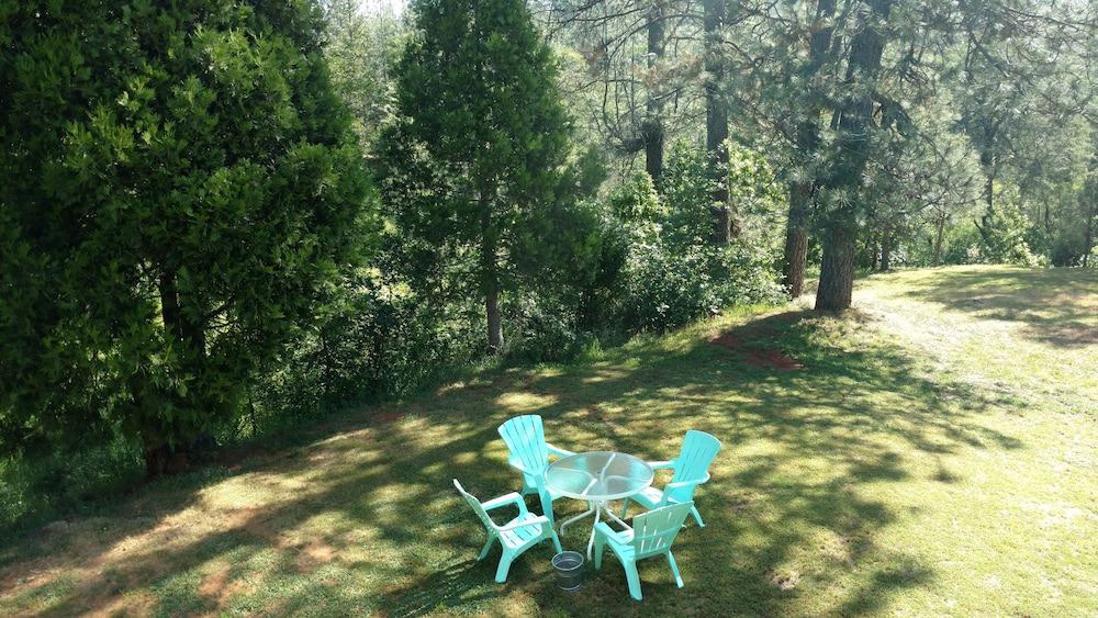 Photo of Outdoor in Brownsville