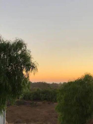 Photo of Others in Central Malibu
