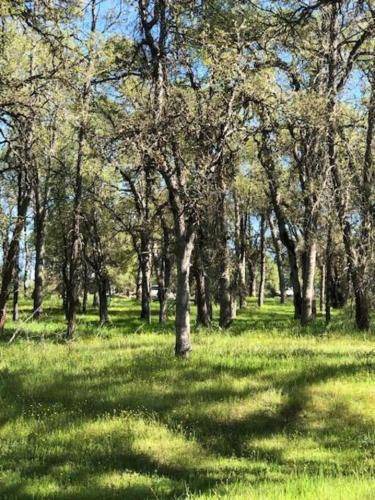 Photo of Others in Mariposa