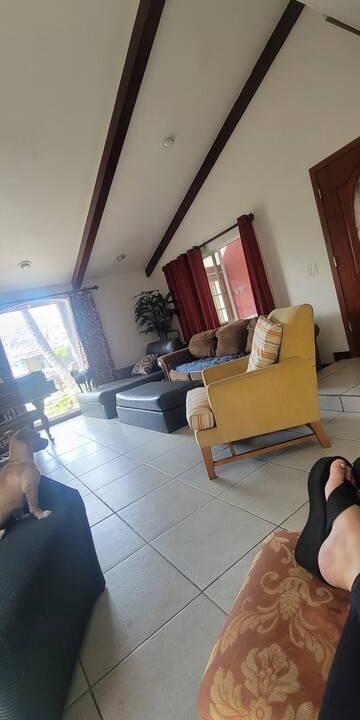 Photo of Livingroom in Harbor
