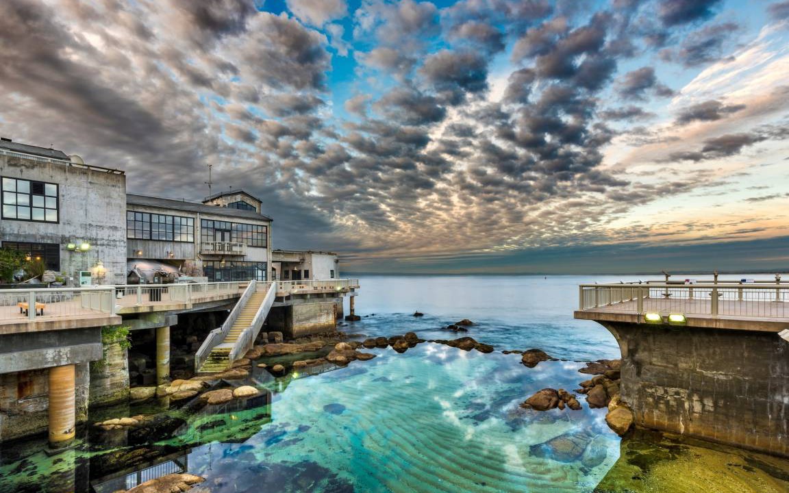 Photo of Others in Carmel Highlands