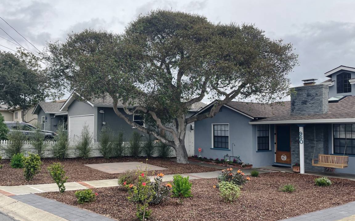 Photo of Others in Del Rey Oaks