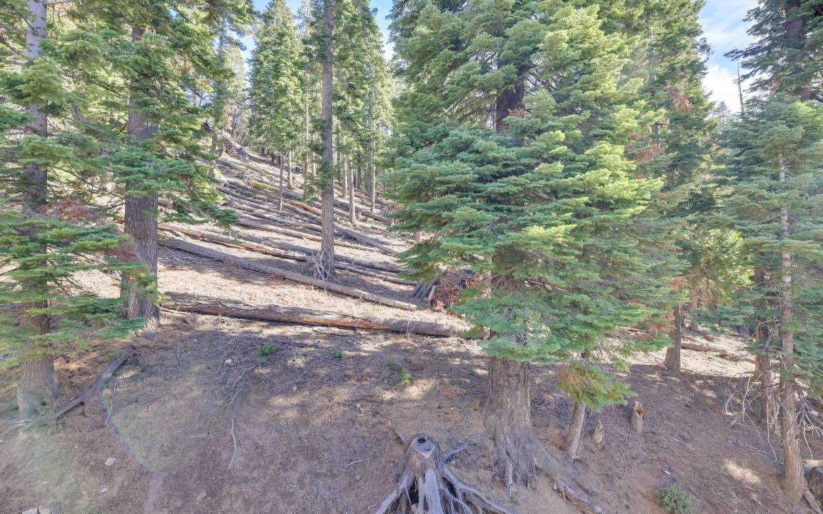 Photo of Outdoor in Pinecrest