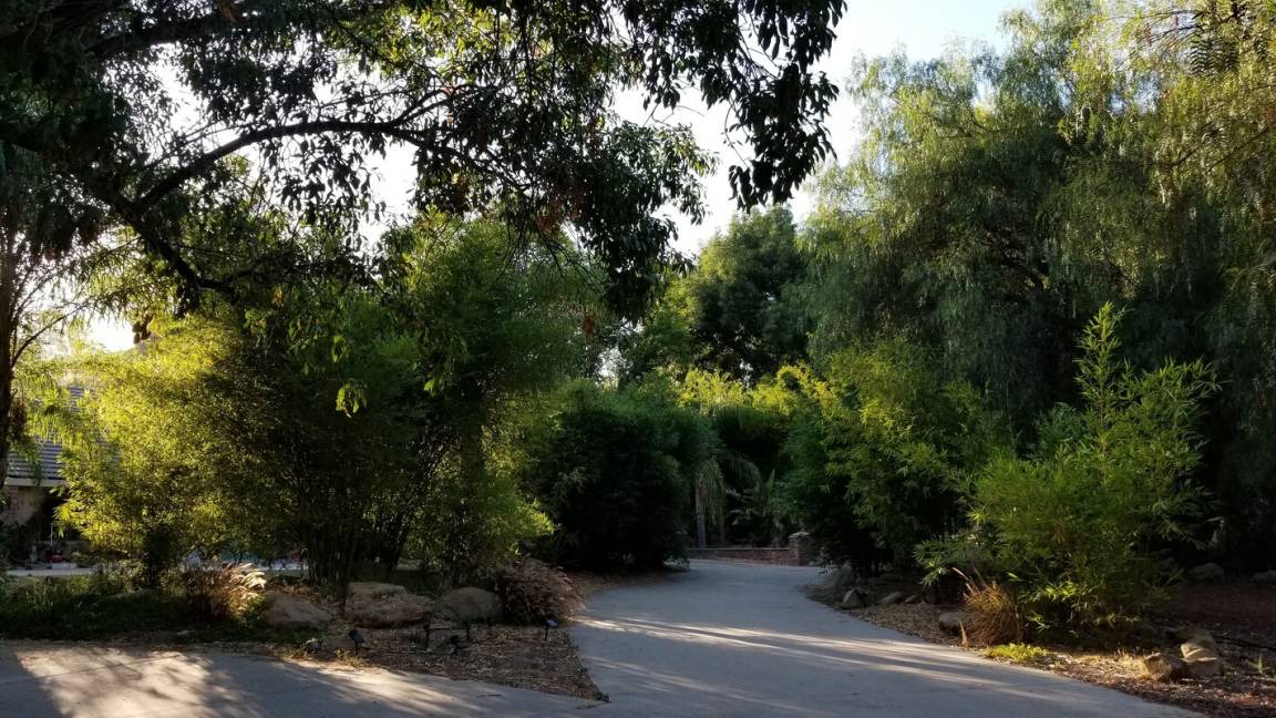 Photo of Outdoor in Simi Valley