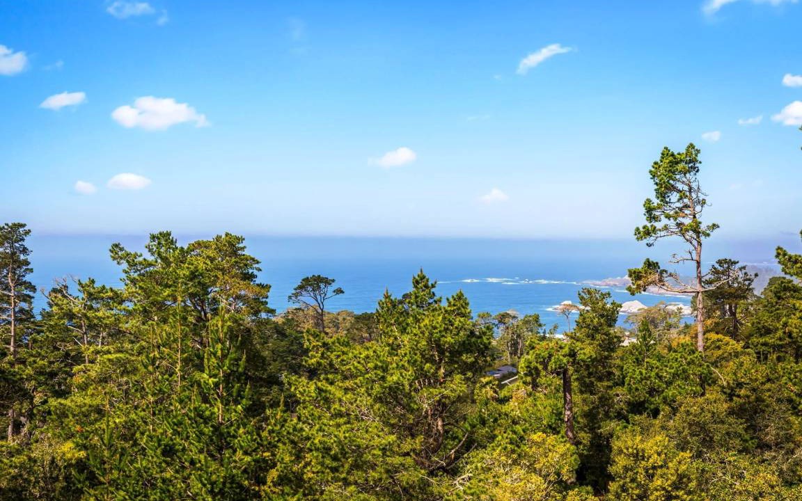 Photo of Others in Carmel Highlands